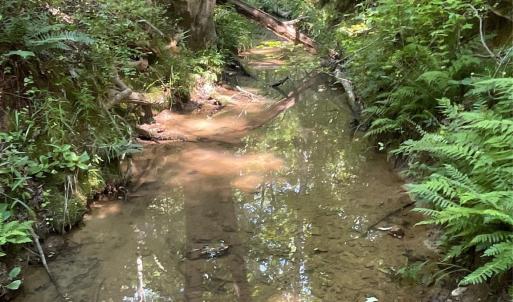 Photo #32 of 2790 Great Falls, Lancaster, SC