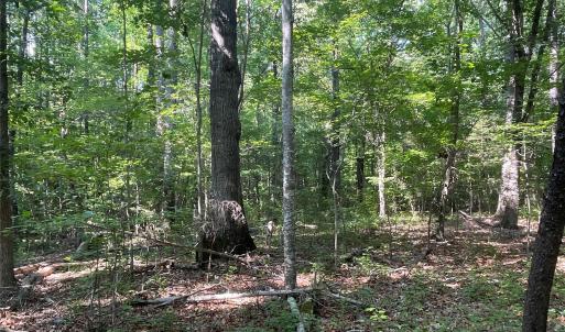 Photo #27 of 2790 Great Falls, Lancaster, SC