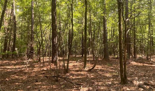 Photo #24 of 2790 Great Falls, Lancaster, SC