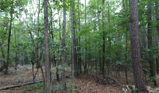 Photo #5 of Nc 138, Norwood, NC