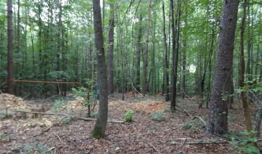Photo #7 of Nc 138, Norwood, NC