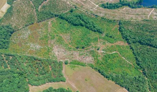 Photo #3 of Black Creek Church, Jefferson, SC