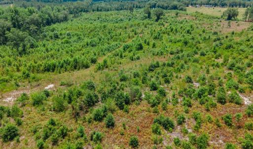 Photo #10 of Black Creek Church, Jefferson, SC