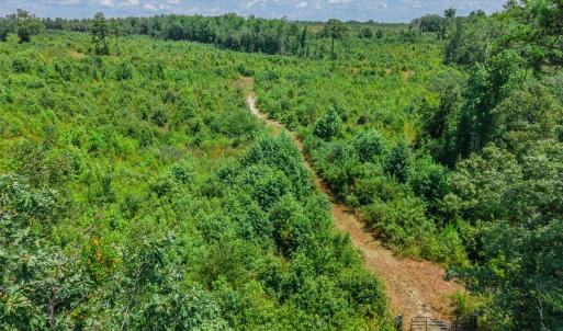 Photo #7 of Black Creek Church, Jefferson, SC