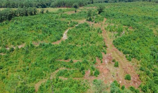 Photo #9 of Black Creek Church, Jefferson, SC