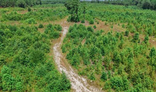 Photo #8 of Black Creek Church, Jefferson, SC