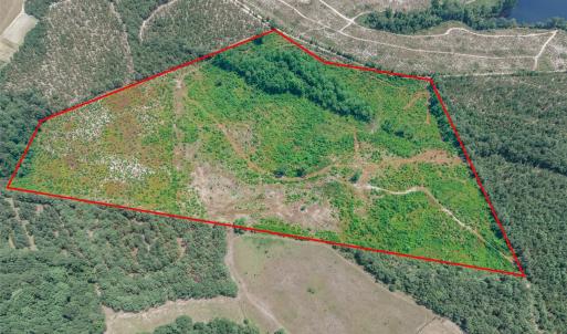 Photo #4 of Black Creek Church, Jefferson, SC