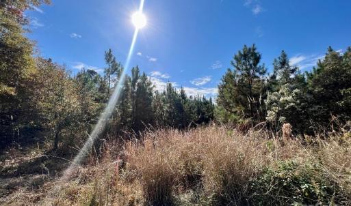 Photo #8 of 11.53 acres Old Camden, Lancaster, SC