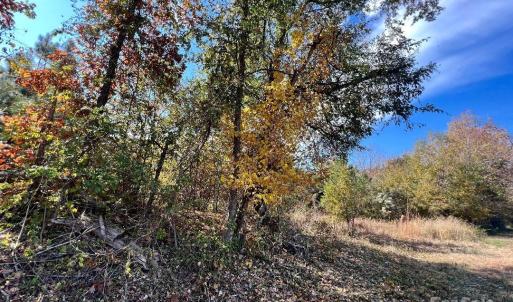 Photo #14 of 11.53 acres Old Camden, Lancaster, SC