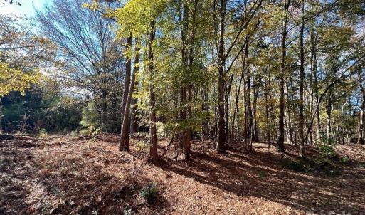 Photo #13 of 11.53 acres Old Camden, Lancaster, SC