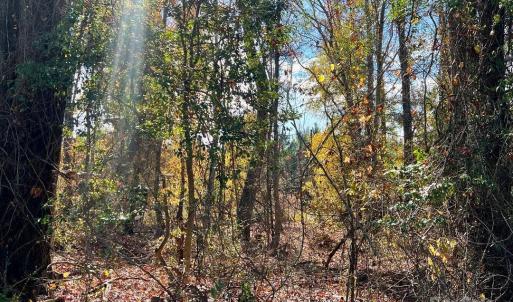 Photo #9 of 11.53 acres Old Camden, Lancaster, SC