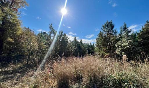 Photo #17 of 11.53 acres Old Camden, Lancaster, SC