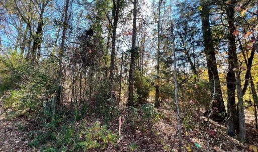Photo #19 of 11.53 acres Old Camden, Lancaster, SC