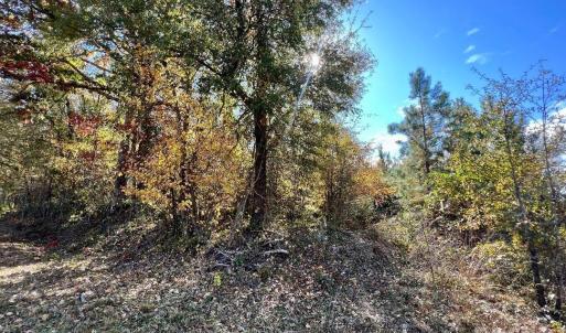 Photo #4 of 11.53 acres Old Camden, Lancaster, SC