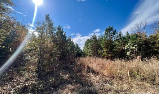 Photo #2 of 11.53 acres Old Camden, Lancaster, SC