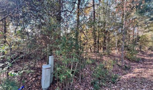 Photo #18 of 11.53 acres Old Camden, Lancaster, SC