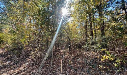 Photo #24 of 11.53 acres Old Camden, Lancaster, SC