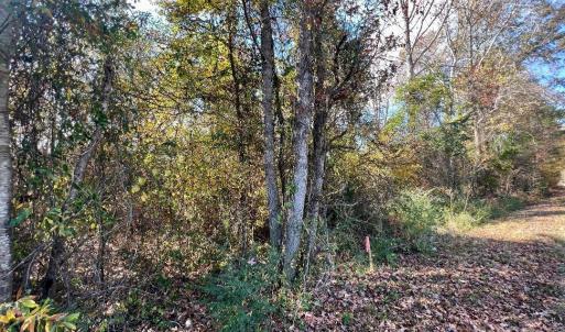 Photo #15 of 11.53 acres Old Camden, Lancaster, SC