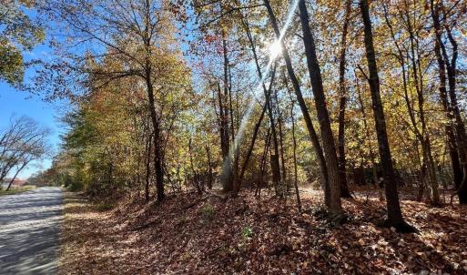 Photo #22 of 11.53 acres Old Camden, Lancaster, SC