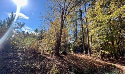 Photo #21 of 11.53 acres Old Camden, Lancaster, SC