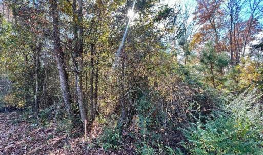 Photo #16 of 11.53 acres Old Camden, Lancaster, SC