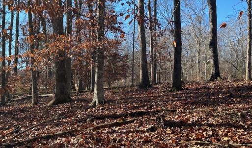 Photo #4 of LOT 74 Edgewater, Norwood, NC