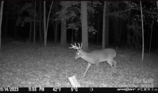 Photo #14 of John Furr, Concord, NC