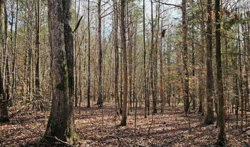 Photo #5 of John Furr, Concord, NC