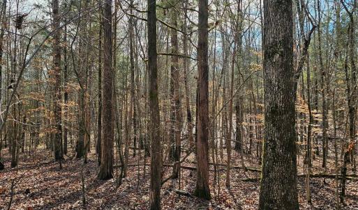 Photo #3 of John Furr, Concord, NC