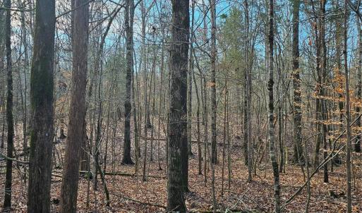 Photo #9 of John Furr, Concord, NC