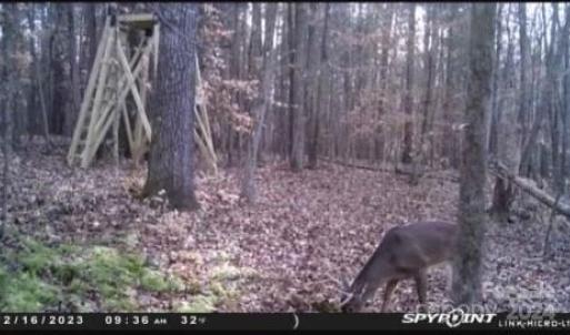 Photo #17 of John Furr, Concord, NC