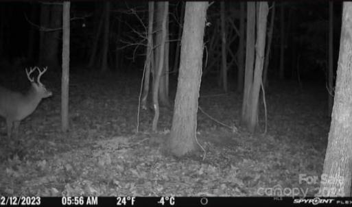 Photo #16 of John Furr, Concord, NC