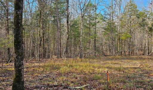 Photo #11 of John Furr, Concord, NC