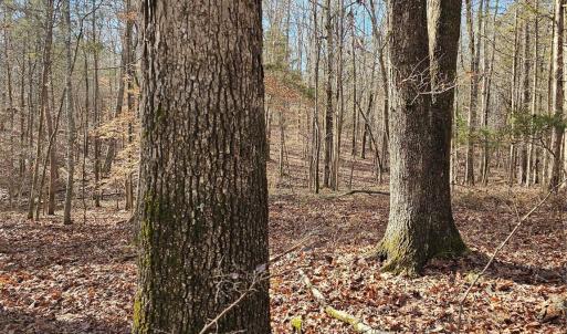 Photo #4 of John Furr, Concord, NC