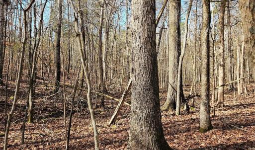 Photo #2 of John Furr, Concord, NC