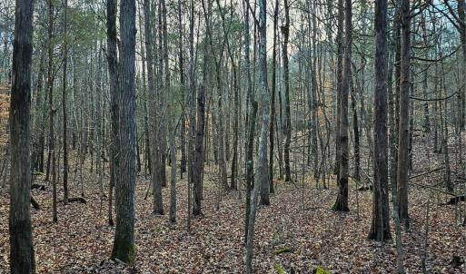 Photo #10 of John Furr, Concord, NC