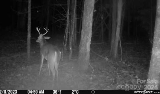 Photo #15 of John Furr, Concord, NC