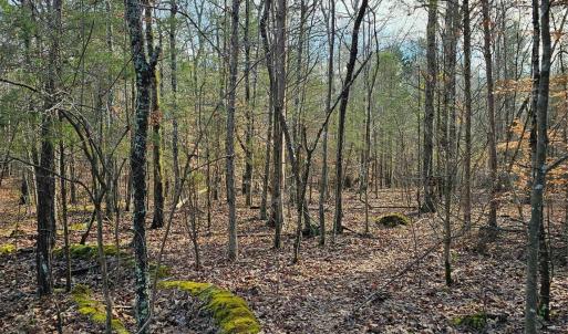 Photo #8 of John Furr, Concord, NC