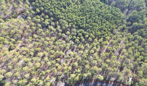 Photo #18 of 94 Riverbluff, Lilesville, NC