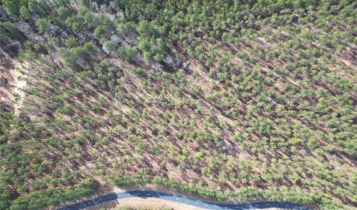 Photo #11 of TBD Spencer Pointe, Lilesville, NC