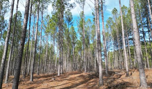 Photo #5 of TBD Spencer Pointe, Lilesville, NC