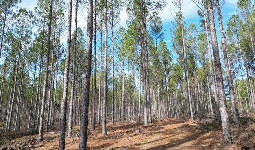 Photo #6 of TBD Spencer Pointe, Lilesville, NC