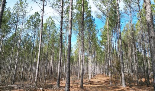 Photo #5 of TBD Spencer Pointe, Lilesville, NC