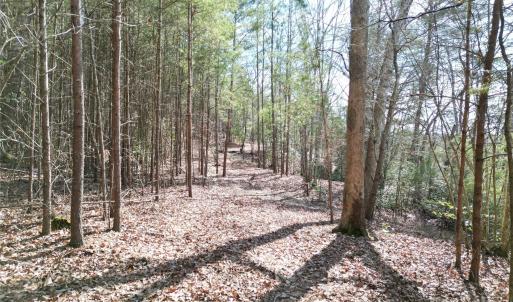 Photo #28 of TBD Grassy Island, Ellerbe, NC