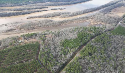 Photo #12 of TBD Grassy Island, Ellerbe, NC