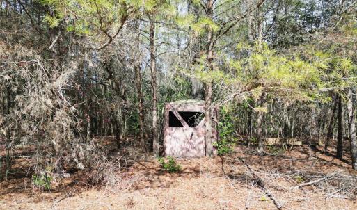 Photo #22 of TBD Grassy Island, Ellerbe, NC