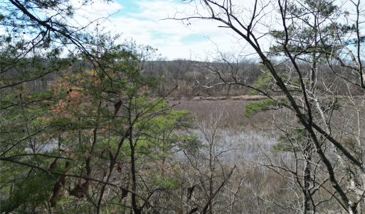Photo #30 of TBD Grassy Island, Ellerbe, NC
