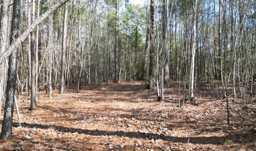 Photo #25 of TBD Grassy Island, Ellerbe, NC