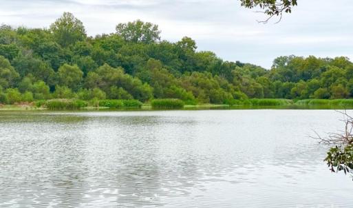Photo #3 of TBD Grassy Island, Ellerbe, NC