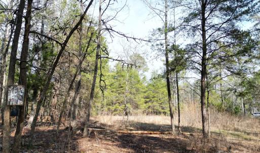 Photo #24 of TBD Grassy Island, Ellerbe, NC